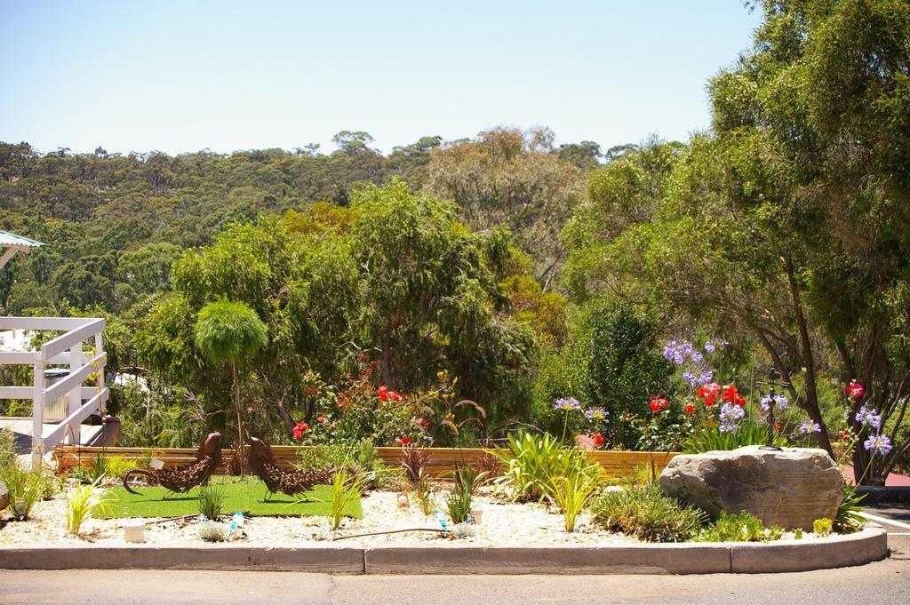 Clare Valley Motel Buitenkant foto